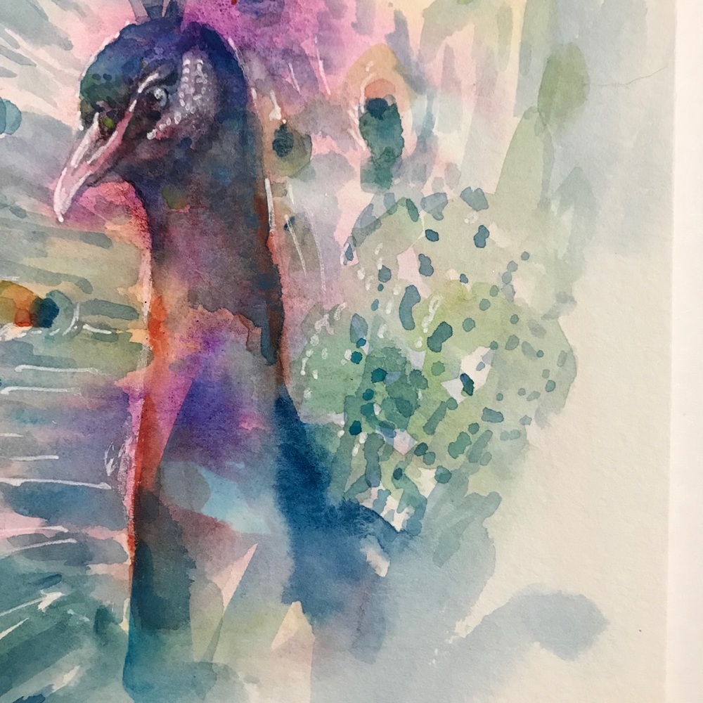 ⭕️ SOLD ⭕️ Original painting peacock Wildlife art - Picture 3 of 8